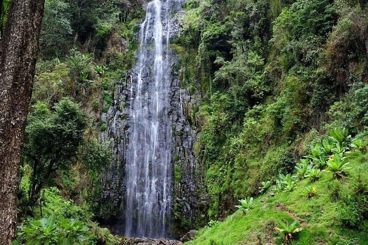Materuni Waterfalls and Chemka Hot Springs Day Trip from Moshi
