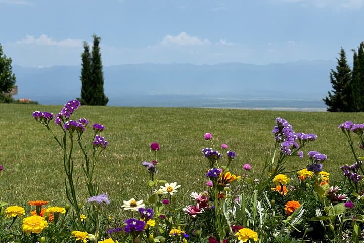 Sip and Savor: Kakheti's Ultimate Wine and Food Journey photo 3