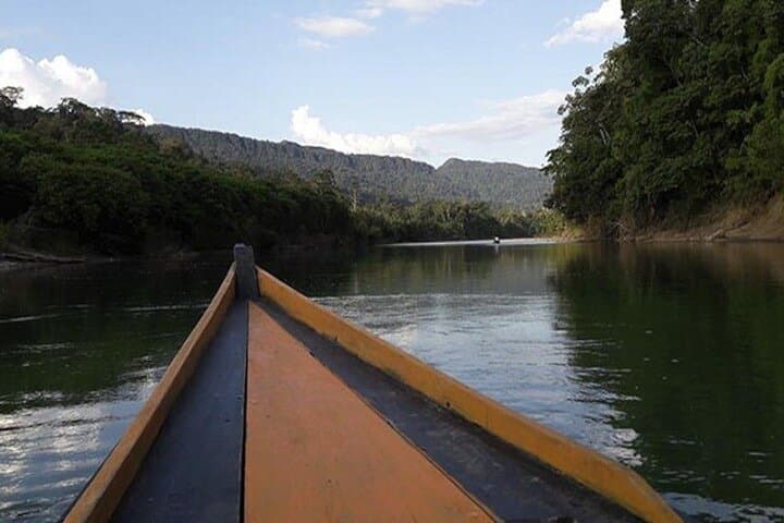 6-Day Manu Rainforest Tour: Amazon Wildlife & River Expedition from Cusco photo 5