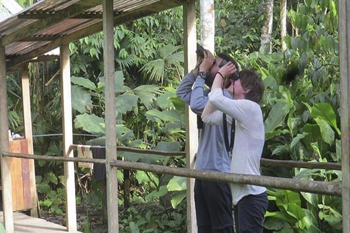 6-Day Manu Rainforest Tour: Amazon Wildlife & River Expedition from Cusco photo 6