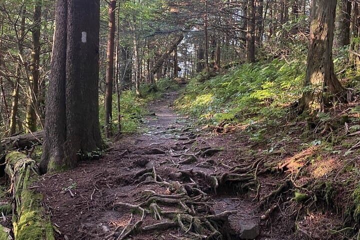 Full-Day Hike to Charlies Bunion on the Appalachian Trail — Gatlinburg Guide photo 3