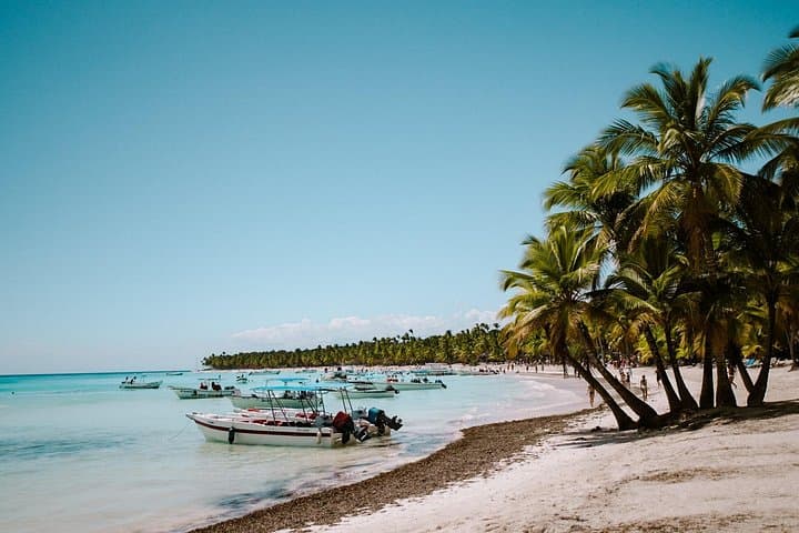 High-Speed Saona Island Day Trip from Punta Cana — Natural Pool, Snorkel & Open Bar photo 4