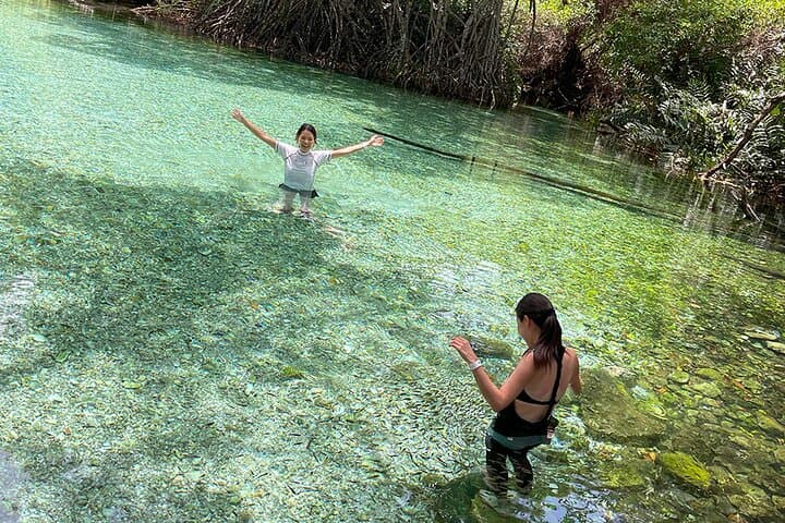 Oviedo Lagoon & Arroyo Salado: Pedernales Day Tour to Flamingos, Mud Baths & Ecological Wells photo 2