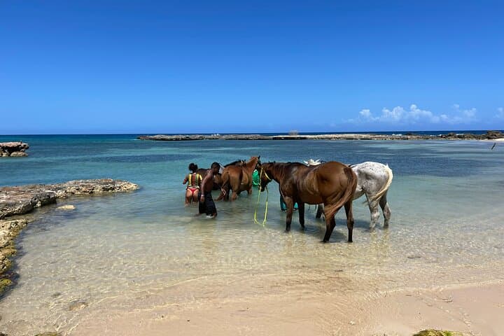 Dunn's River Falls 4-in-1: Zipline, Bamboo Raft, Horseback Swim & Waterfall Climb photo 6