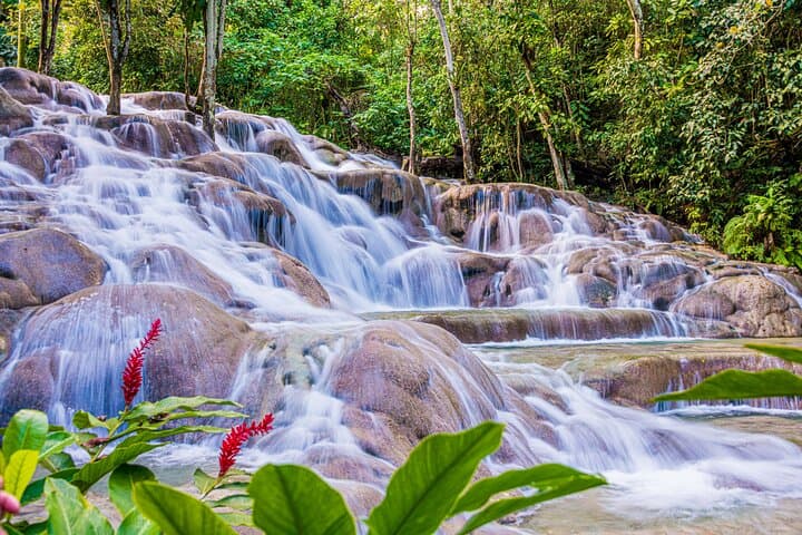 Dunn's River Falls & Bob Marley Mausoleum Private Tour from Montego Bay photo 4
