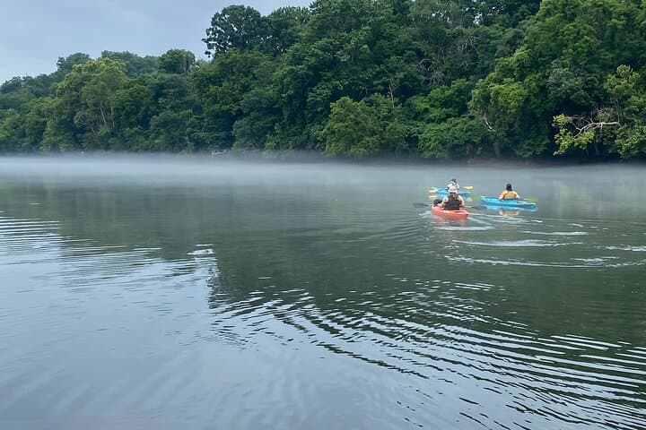 Half-Day Guided Kayaking in the Smoky Mountains — Tallassee Lake Paddling