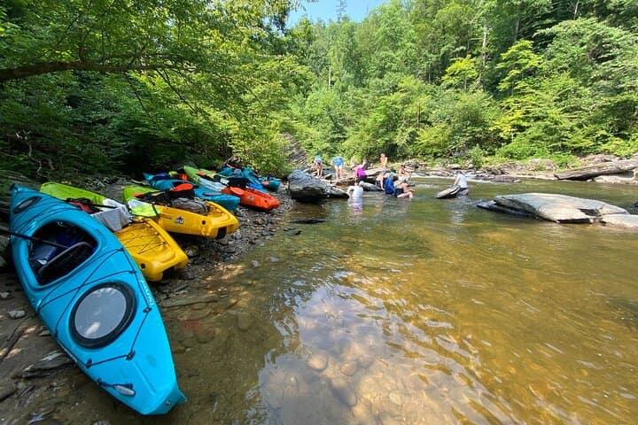 Half-Day Guided Kayaking in the Smoky Mountains — Tallassee Lake Paddling photo 2