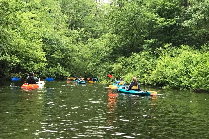 Half-Day Guided Kayaking in the Smoky Mountains — Tallassee Lake Paddling photo 3
