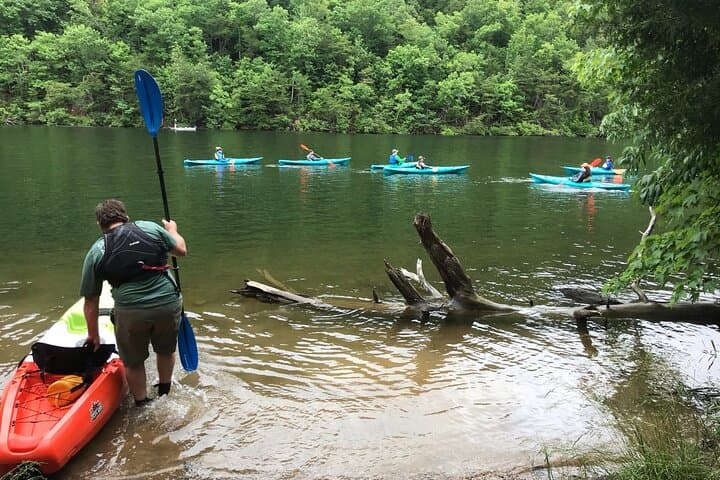 Half-Day Guided Kayaking in the Smoky Mountains — Tallassee Lake Paddling photo 4