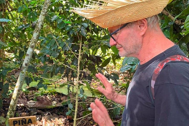 Coffee Route in Polo, Barahona — Mata to Cup Rural Coffee Tour with Tasting & Lunch photo 1