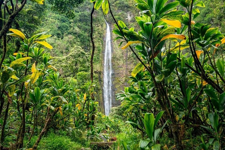 VIP Private Road to Hana and Haleakala Sunset Tour — One-Day Maui Adventure photo 2
