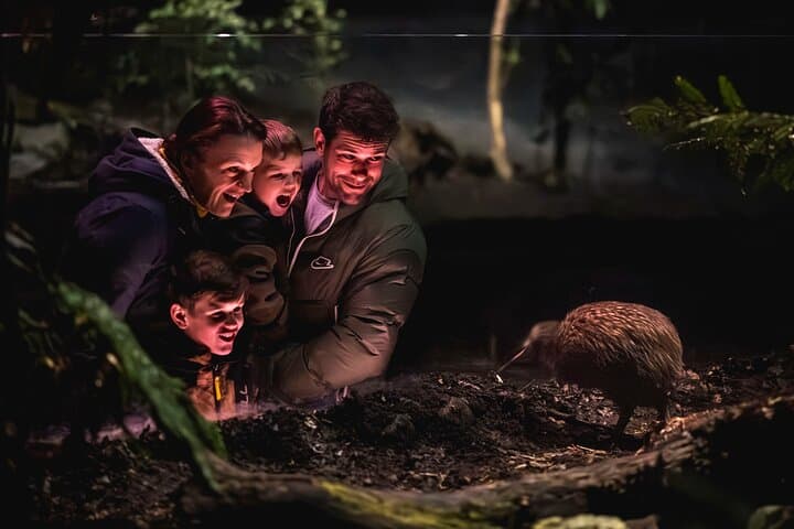 Kiwi Birdlife Park Queenstown: Up-Close Kiwi Encounters & Conservation Shows photo 2