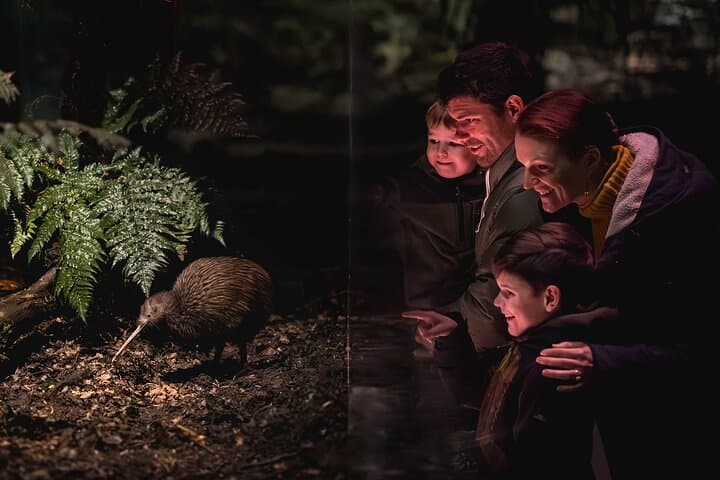 Kiwi Birdlife Park Queenstown: Up-Close Kiwi Encounters & Conservation Shows photo 1