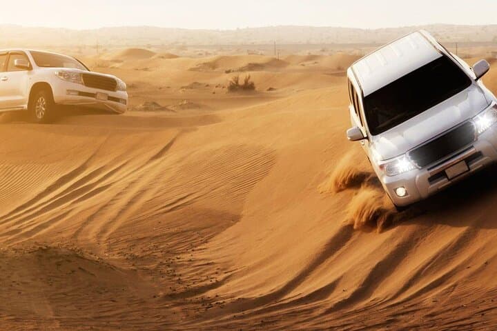 Half-Day Desert Safari from Doha: Dune Bashing, Camel Rides & Khor Al Adaid photo 3