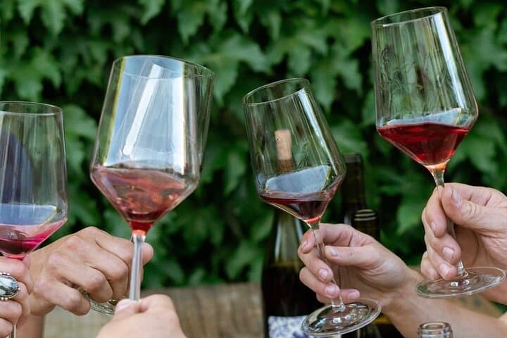 Discover Sonoma's Natural Wineries: Small-Group Natural Wine Tour photo 2