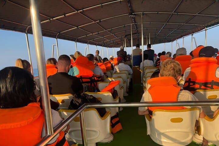 Whale Watching from Colombo: Mirissa Blue Whale and Dolphin Cruises photo 6