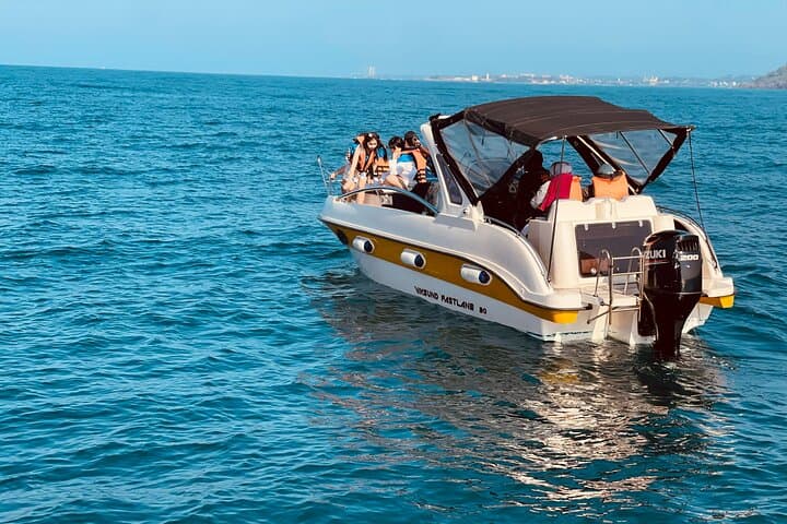 Whale Watching from Colombo: Mirissa Blue Whale and Dolphin Cruises
