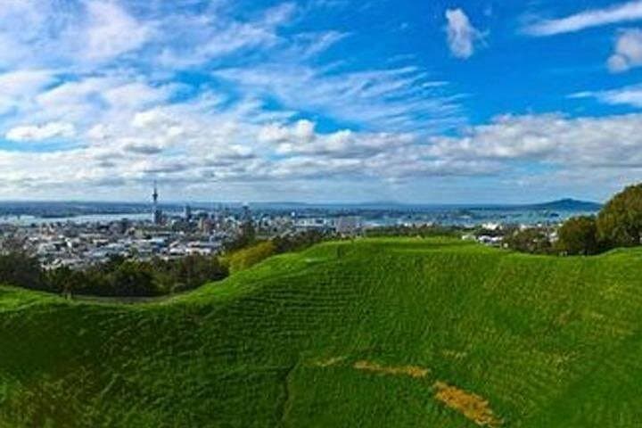 Auckland City Volcano & Scenic Highlights Tour — Mount Eden, Domain & Parnell photo 4