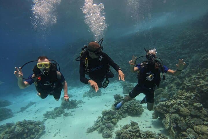 Red Sea Scuba Diving in Hurghada — 2-Stop Boat Dive with Lunch