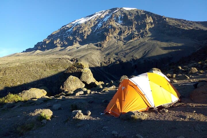 Kilimanjaro Lemosho Route: 8-Day Summit Trek from Moshi photo 6