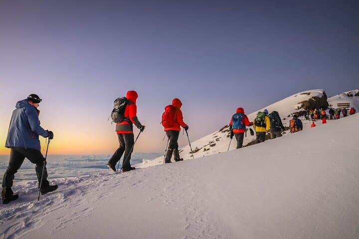 Kilimanjaro Lemosho Route: 8-Day Summit Trek from Moshi photo 2