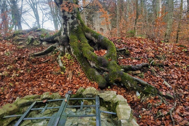 Half-Day Moravian Karst: Caves, Castles & Karst Trails from Brno photo 5