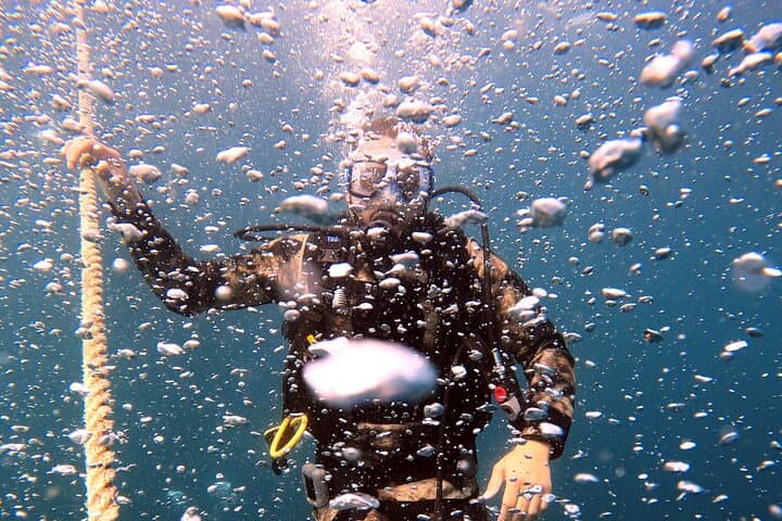 Beginner Scuba Dive Experience in Dubai: Shallow Reef & Seahorse Encounter