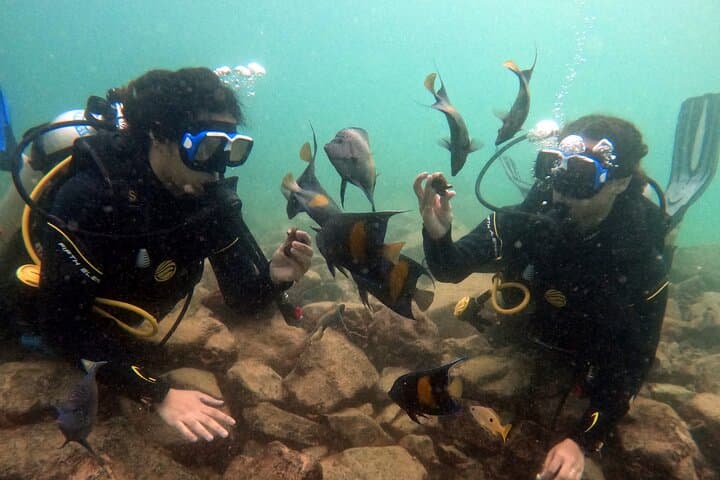 Beginner Scuba Dive Experience in Dubai: Shallow Reef & Seahorse Encounter photo 2