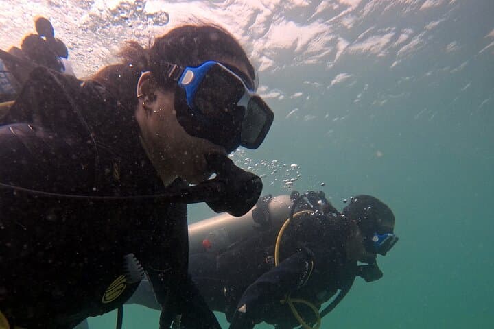 Beginner Scuba Dive Experience in Dubai: Shallow Reef & Seahorse Encounter photo 4