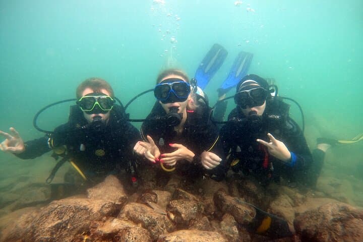 Beginner Scuba Dive Experience in Dubai: Shallow Reef & Seahorse Encounter photo 6