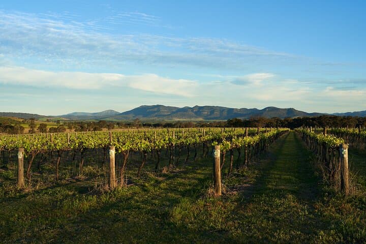 Full-Day Private Canberra to Murrumbateman Wine Expedition photo 2