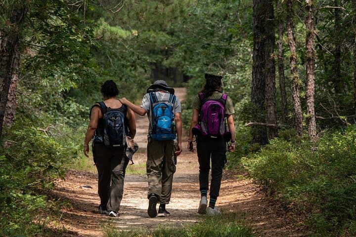 Fox Canyon Adventure Trek — Full-Day Los Cabos Hike to Desert Oasis photo 3