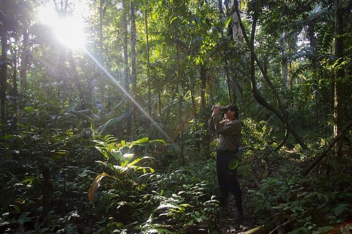 7-Day Manu Reserved Zone Amazon Tour — Treehouse Inn & Wildlife Encounters photo 2