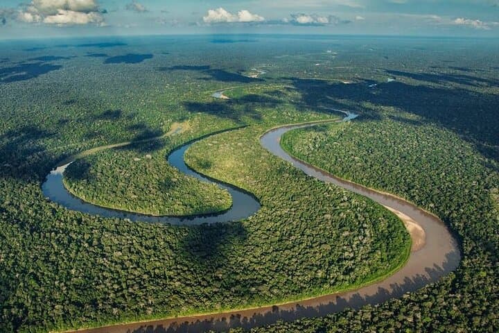 7-Day Manu Reserved Zone Amazon Tour — Treehouse Inn & Wildlife Encounters photo 6