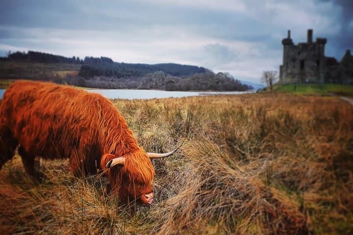 West Highlands, Oban & Glencoe: Private Full-Day Tour from Edinburgh