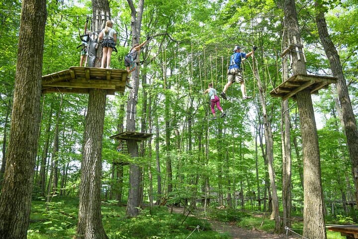 Bristol Mountain Aerial Adventure Park: Zip Lines, Ropes & Treetop Courses