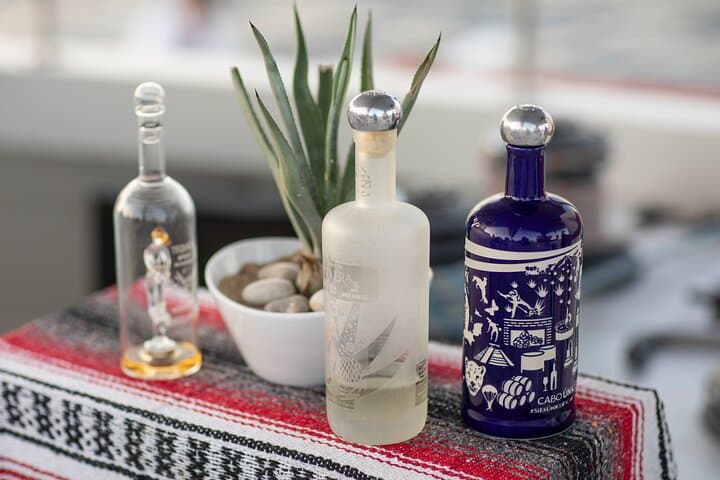 Sunset Tequila Tasting Catamaran Cruise in Cabo San Lucas photo 4