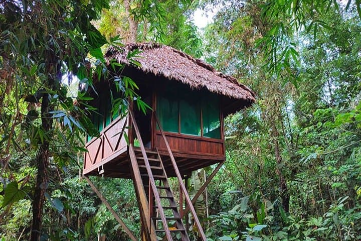 3-Day Manu Jungle Tour from Cusco — Macaws, Cloud Forests & River Tubing photo 3