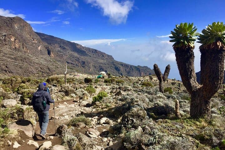 Conquer Mount Kilimanjaro: 6-Day Machame Route Trek Guide photo 6