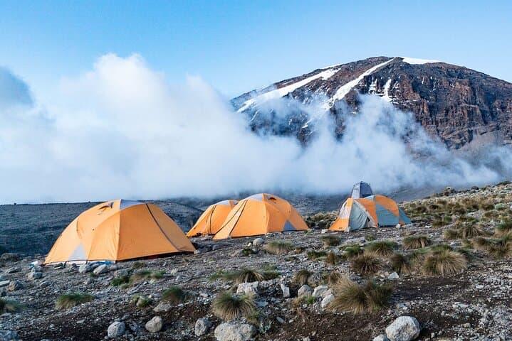 7-Day Kilimanjaro Rongai Route: Complete Guide to Summiting Uhuru Peak photo 3