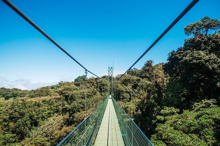 Monteverde Cloud Forest and Sky Adventures: Zipline, Gondola & Hanging Bridges