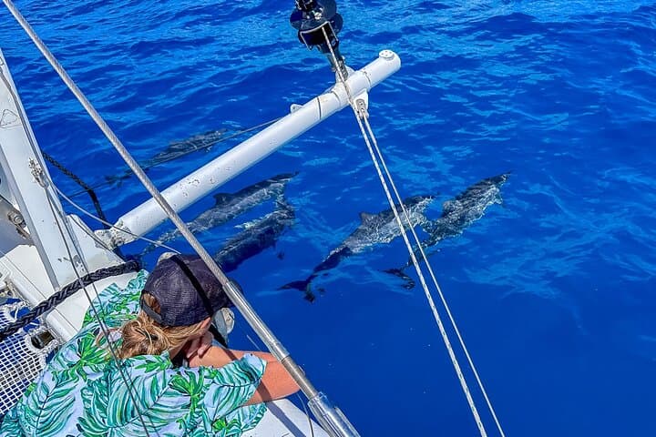 Waikiki Private Catamaran Charter: 2-Hour Luxury Sailing & Snorkel photo 5