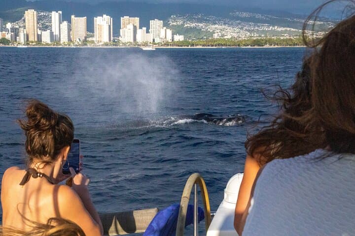 Waikiki Private Catamaran Charter: 2-Hour Luxury Sailing & Snorkel photo 3