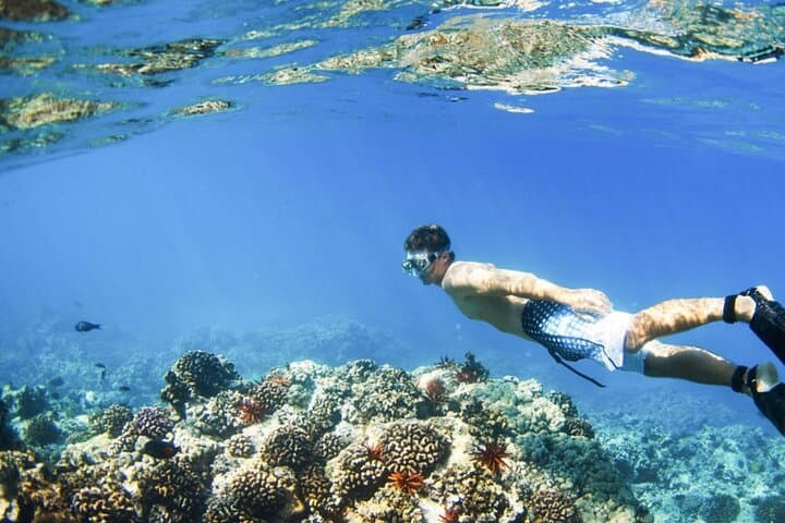 Blue Lagoon Bali Snorkeling & Jukung Boat Adventure (Ubud & Waterfall Options) photo 2