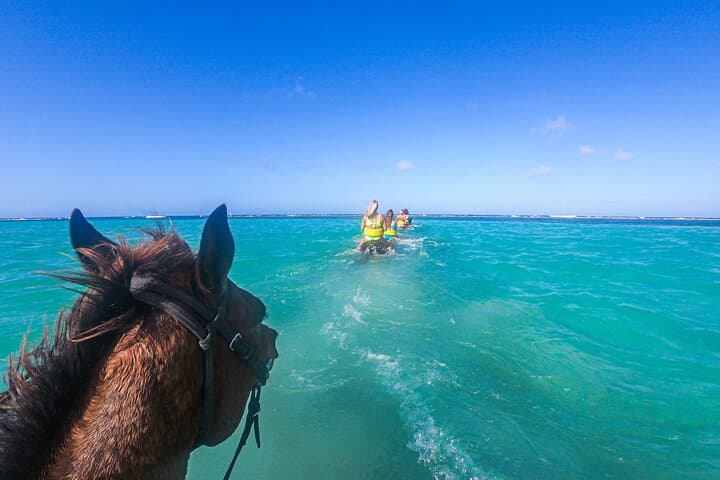 Horseback Riding and River Tubing Combo from Montego Bay — Rio Bueno to Braco Adventure