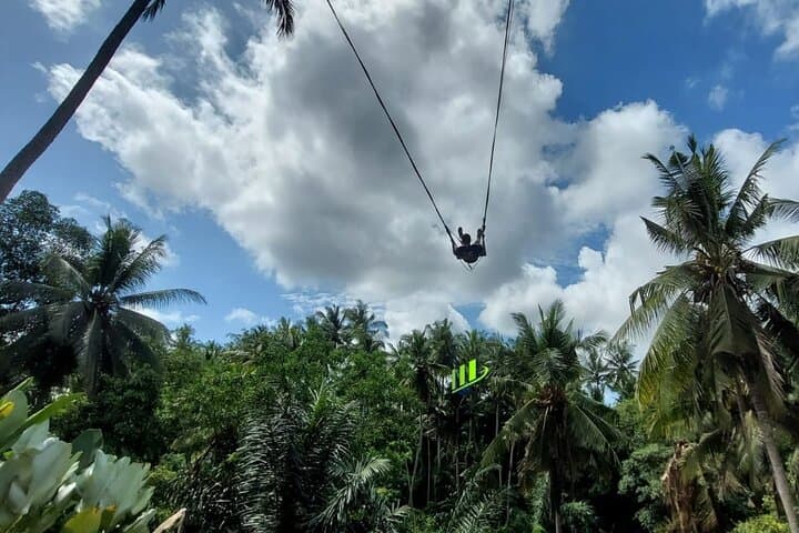 Private Ubud Bali Swing and Ayung River Rafting Full-Day Tour