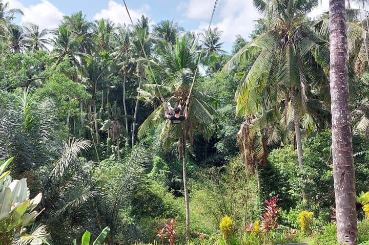 Private Ubud Bali Swing and Ayung River Rafting Full-Day Tour photo 5