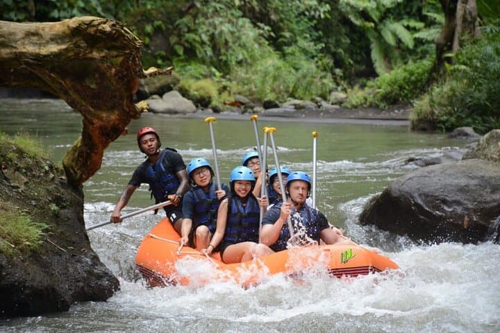 Private Ubud Bali Swing and Ayung River Rafting Full-Day Tour photo 3