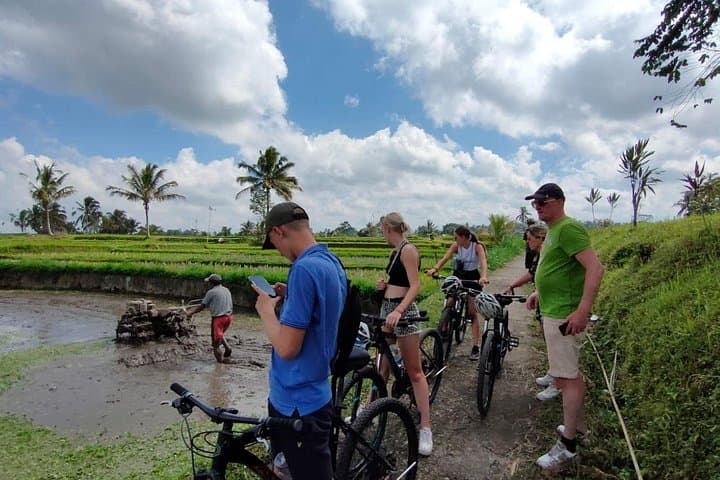 Downhill Cycling Through Bali's Ubud Countryside: Rice Fields, Villages & Local Homestays photo 1