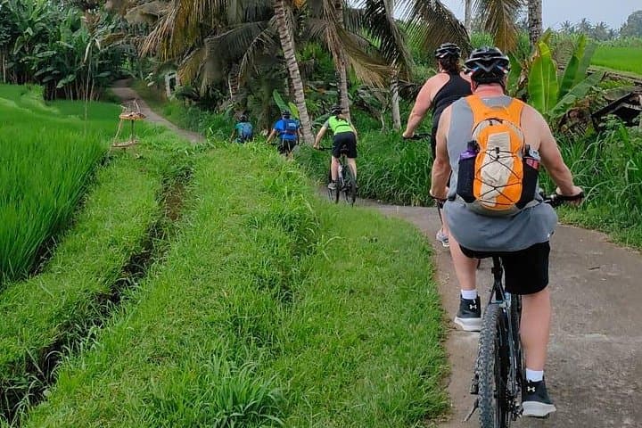 Downhill Cycling Through Bali's Ubud Countryside: Rice Fields, Villages & Local Homestays photo 2